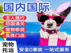 无锡硕放机场物流国际宠物托运 【国